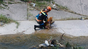 Bomberos de Yerba Buena rescataron a un perro que cayó a un canal