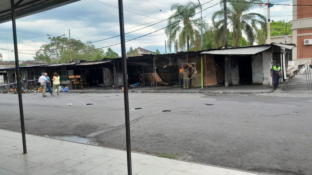 Incendio en El Bajo: Puesteros aseguran que fue intencional