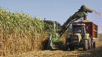 La provincia impulsa la cosecha sustentable de caña