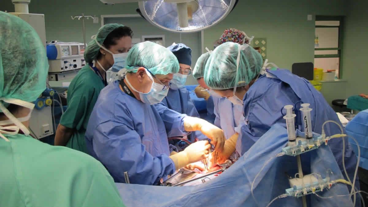 Alrededor de 1.400 argentinos esperan un trasplante hepático