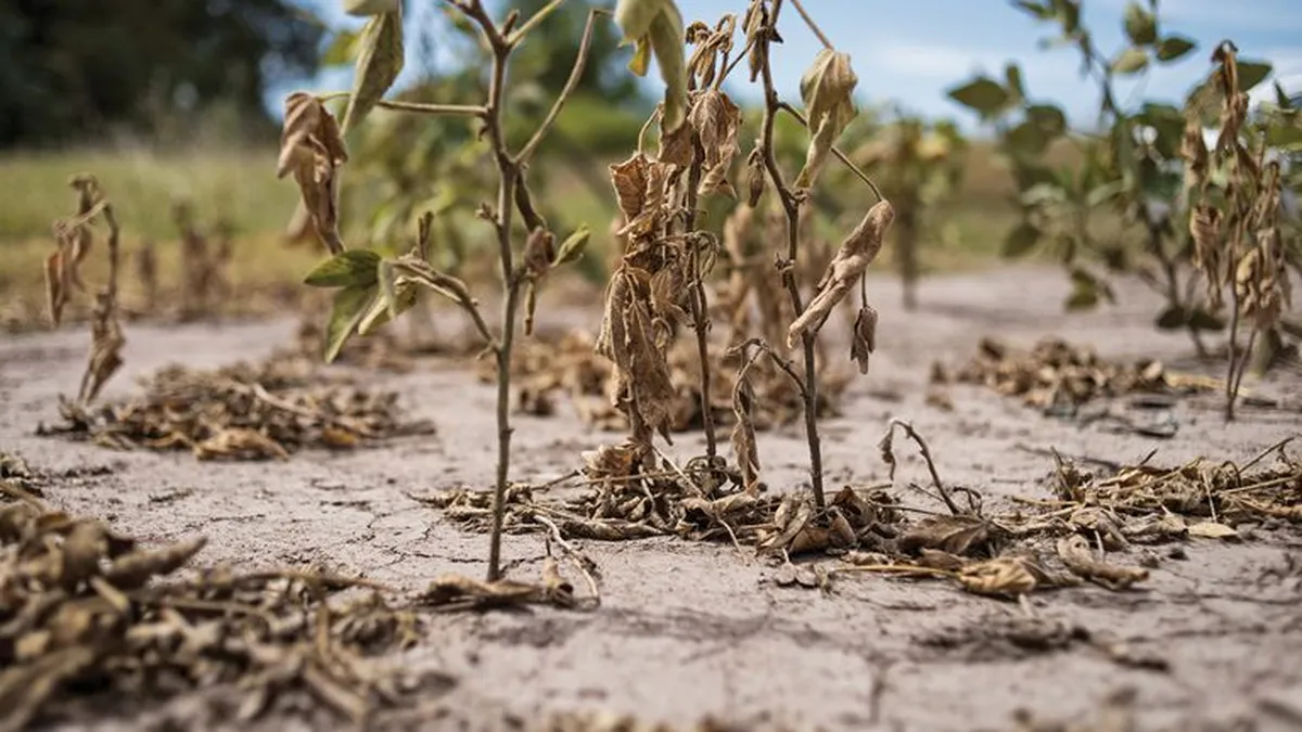 La sequía complica la entrada del dólar agro al país