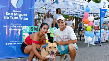 Día del Animal: brindarán servicios en Plaza Independencia