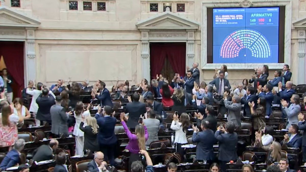 Diputados dio media sanción al proyecto de Régimen Penal Juvenil