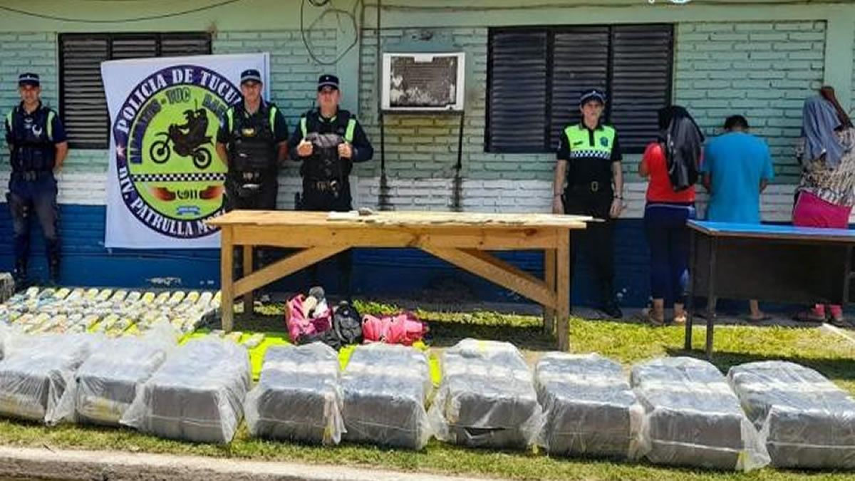 Hojas de coca: Secuestraron más de 400 kg