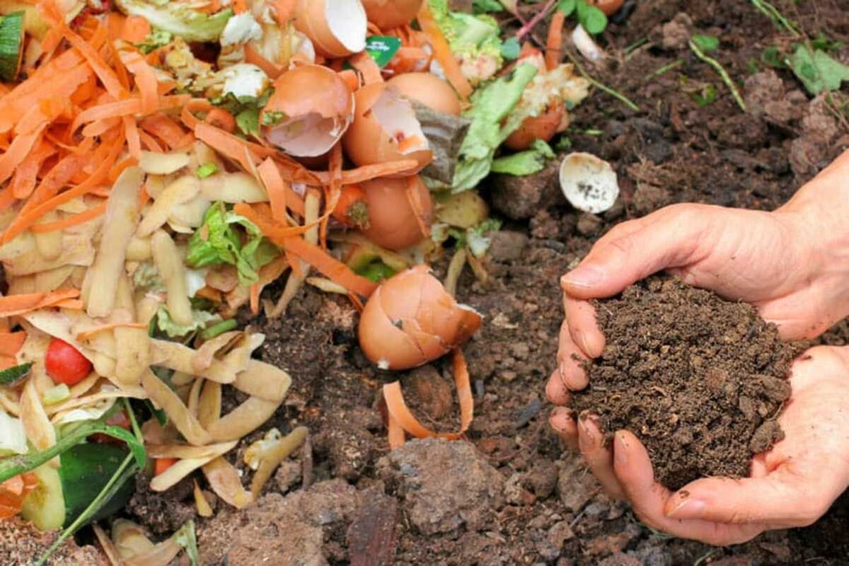 Un taller para transformar tus residuos orgánicos en compost