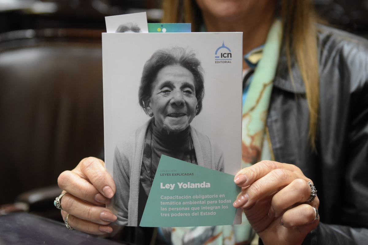 Alberto Fernández inicia la capacitación de la Ley Yolanda