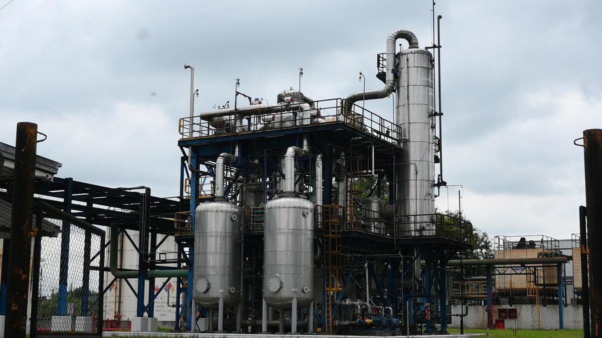 Con Tucumán a la cabeza, la producción sucroalcoholera alcanzó un récord
