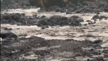 Corte total en la ruta nacional 65 por desborde del río Cochuna