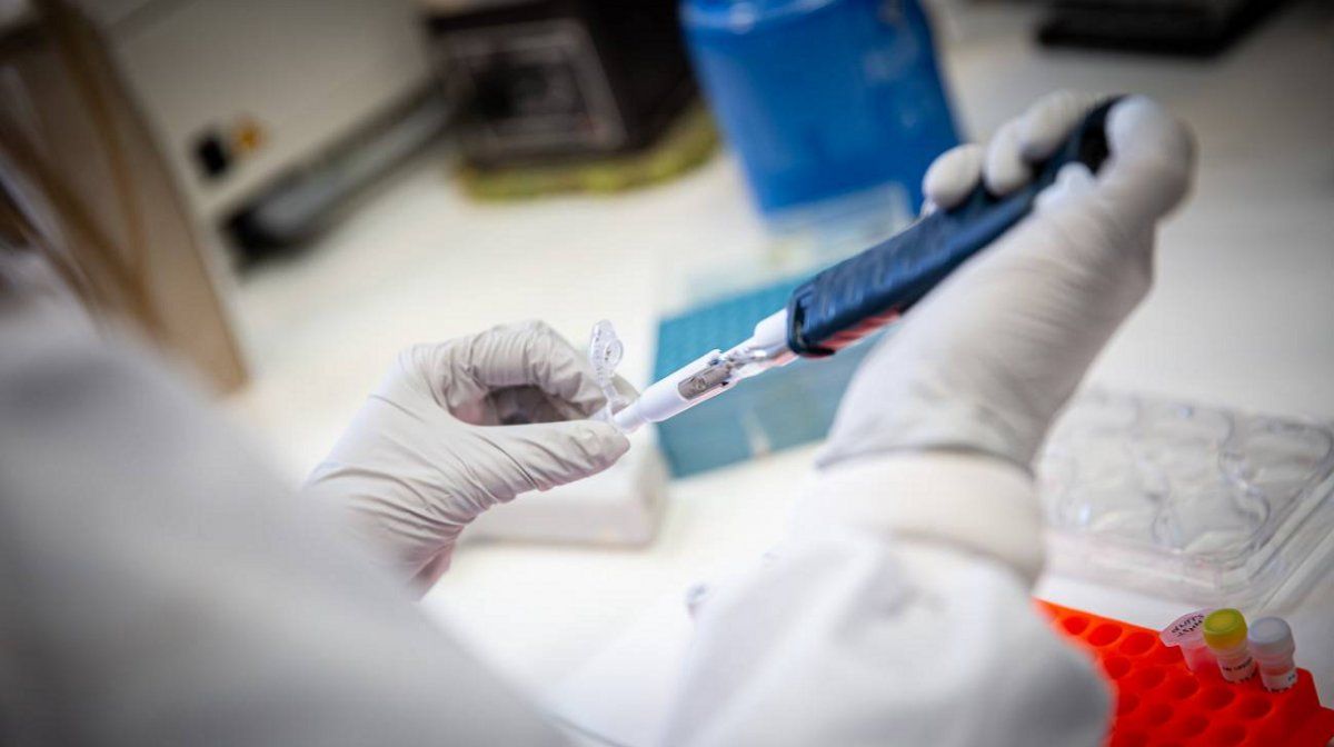 Vacuna en Argentina: la probarían a principios de agosto