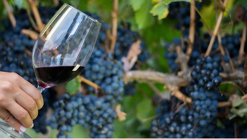 EVINOR: el vino tucumano obtuvo medallas de oro y de plata