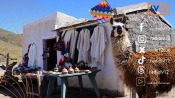 Todo lo que tenés que saber antes de salir de casa...