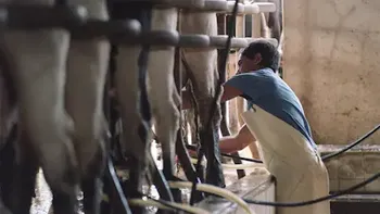 El sector de la lechería tuvo una recuperación durante 2025