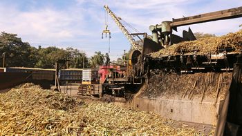 La zafra en Tucumán registra picos récord de molienda diaria