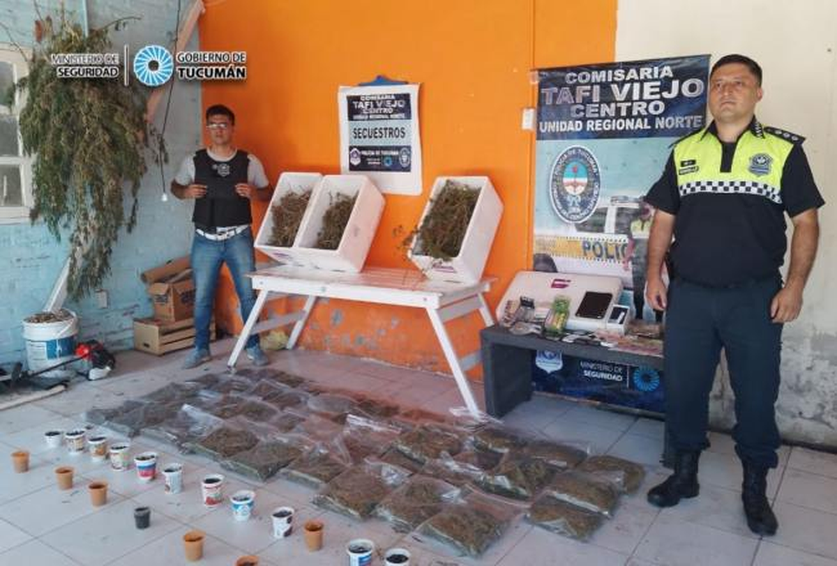 Tafí Viejo: la Policía desmanteló un laboratorio de marihuana