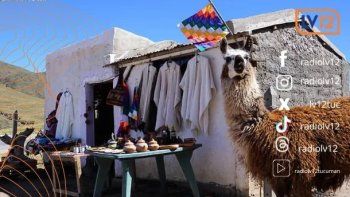 Todo lo que tenés que saber antes de salir de casa...