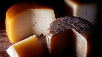 Tucumán refuerza la prevención de listeriosis tras detectar queso criollo contaminado