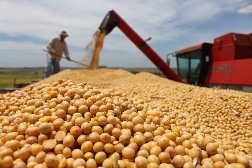 Las exportaciones de soja motorizaron el superávit comercial.