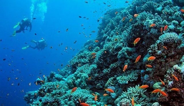 Los virus en los océanos son tres veces más de lo que creían los biólogos