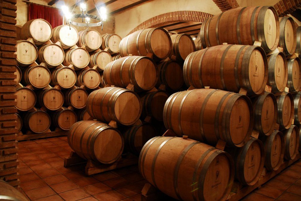 Exportación vitivinícola argentina creció entre enero y julio