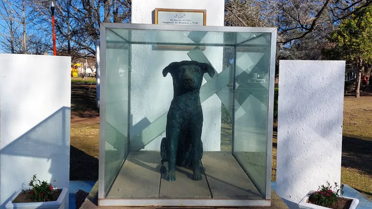 Estatua en homenaje al perro Tom, que se encuentra en la localidad bonaerense de Ascensión. Foto: C5N Estatua en homenaje al perro Tom, que se encuentra en la localidad bonaerense de Ascensión. Foto: C5N