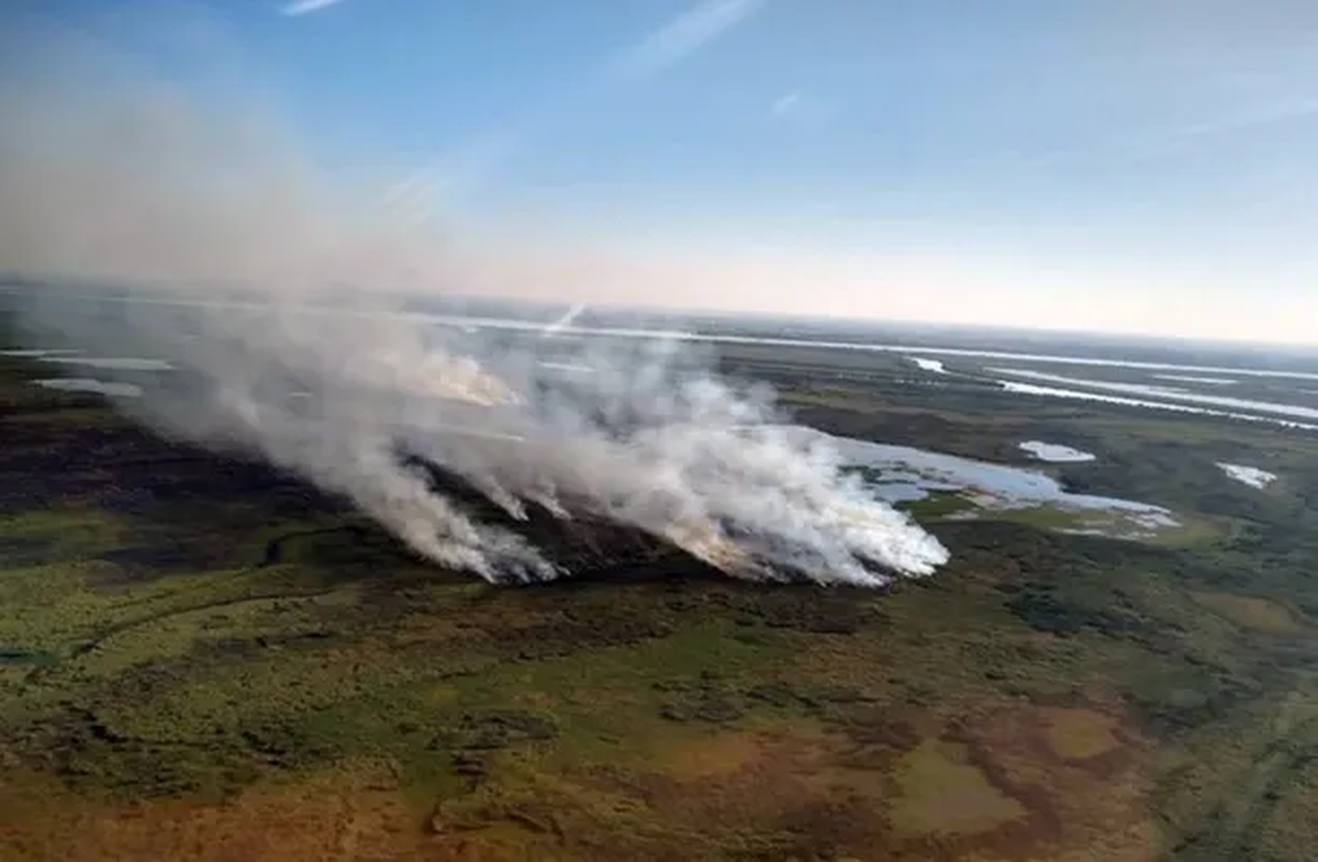 Incendios en el Delta del Paraná.