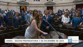 Renovación del Congreso: juraron los diputados tucumanos