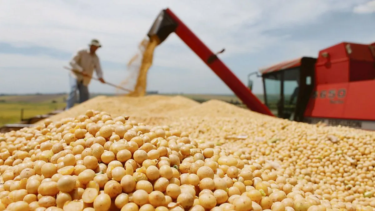 Destinarán $15.000 millones para subsidiar a productores de soja y maíz