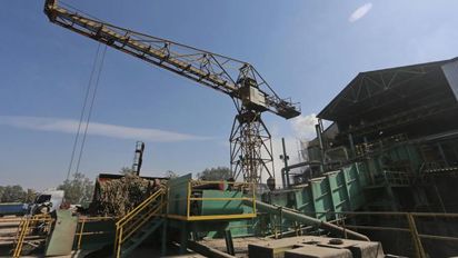 La zafra 2025 continúa a buen ritmo en Tucumán