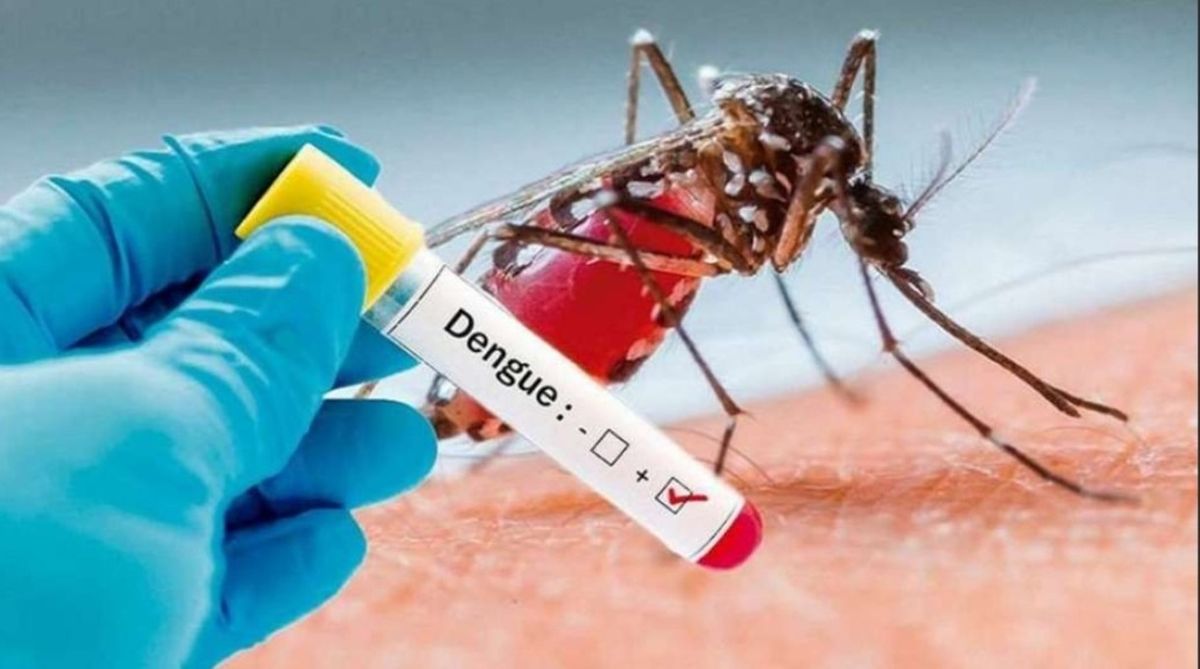 En Argentina hay 16.143 casos confirmados de dengue