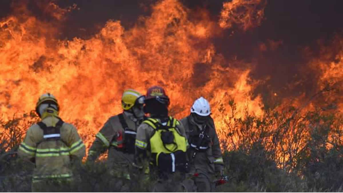 Puerto Madryn: impactantes imágenes de los incendios