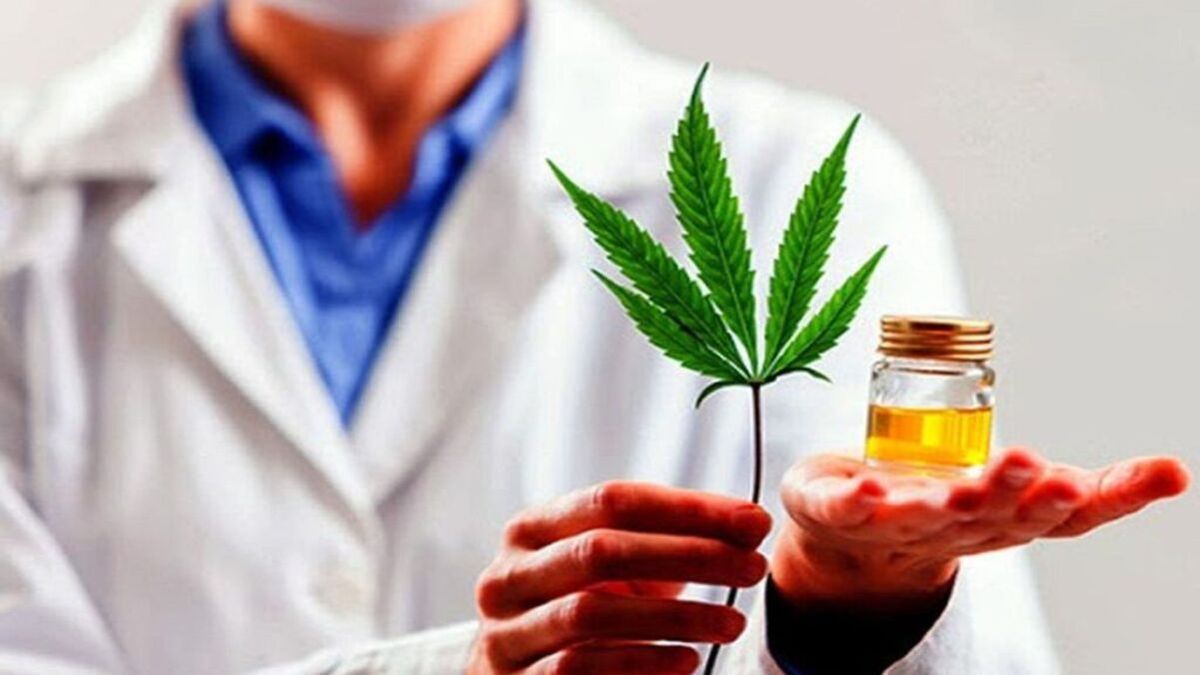 Cannabis medicinal: deberíamos tener este circuito legal