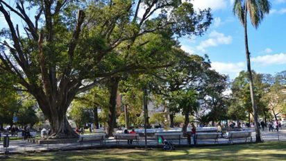 Se espera un jueves agradable con una máxima de 25°