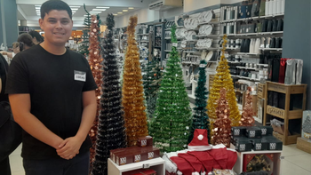 Cuánto cuesta armar el arbolito de Navidad en Tucumán