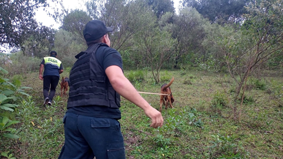 Buscan a un hombre de 83 años que se encuentra desaparecido