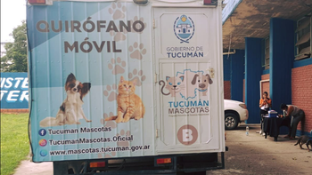 Tucumán Mascotas realizará un operativo sanitario en La Madrid