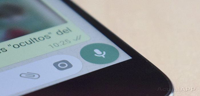 WhatsApp borrará chats y material multimedia: los pasos para evitarlo