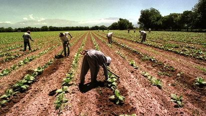 Avanza el proyecto para compatibilizar planes sociales y empleo registrado