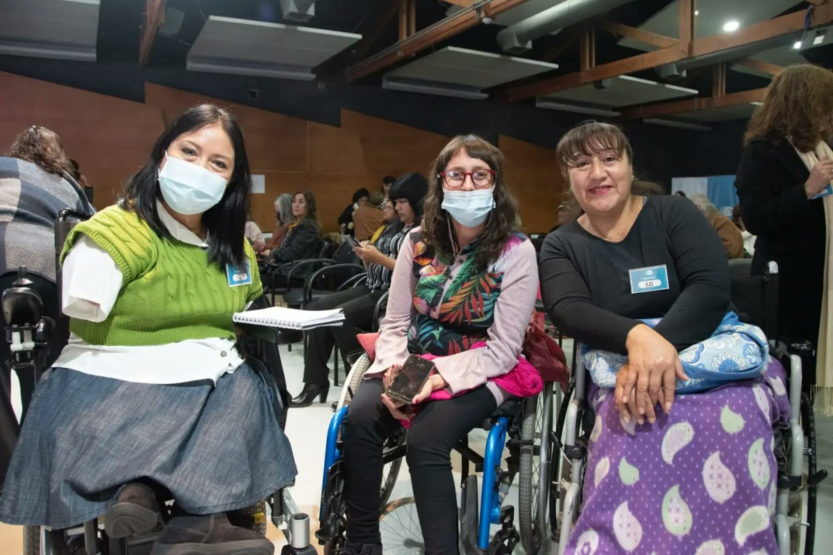 Nueva Ley de Discapacidad: Comenzó la audiencia pública