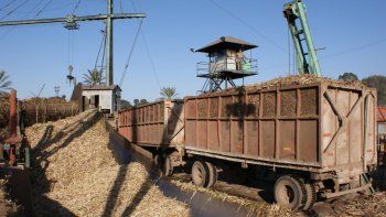 Zafra: estiman una producción similar o levemente superior al año pasado