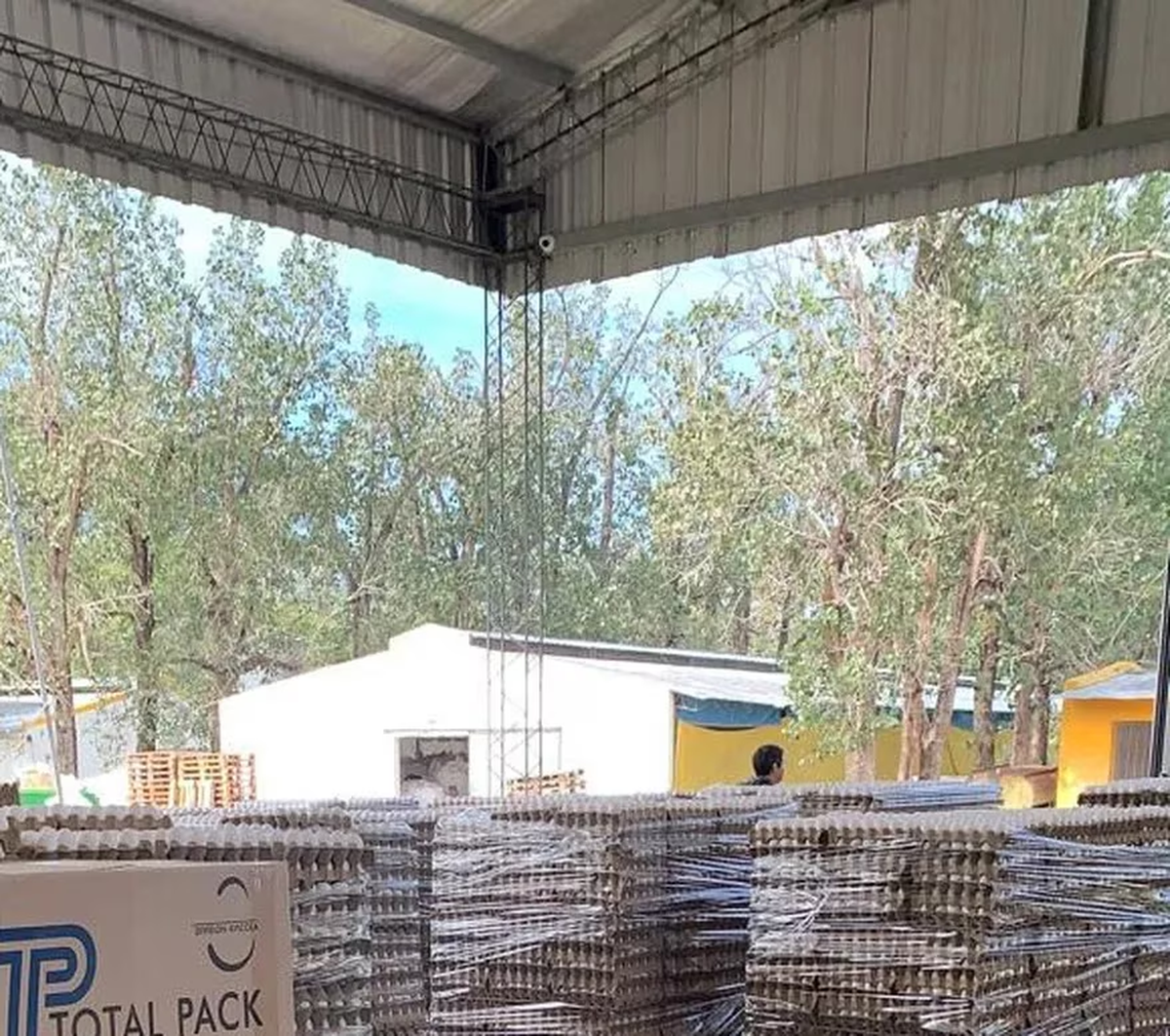 El juez que intervino tras una acción judicial solicitada por la empresa ordenó mantener una interdicción de la granja.