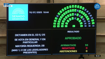 El Senado aprobó la emergencia en discapacidad