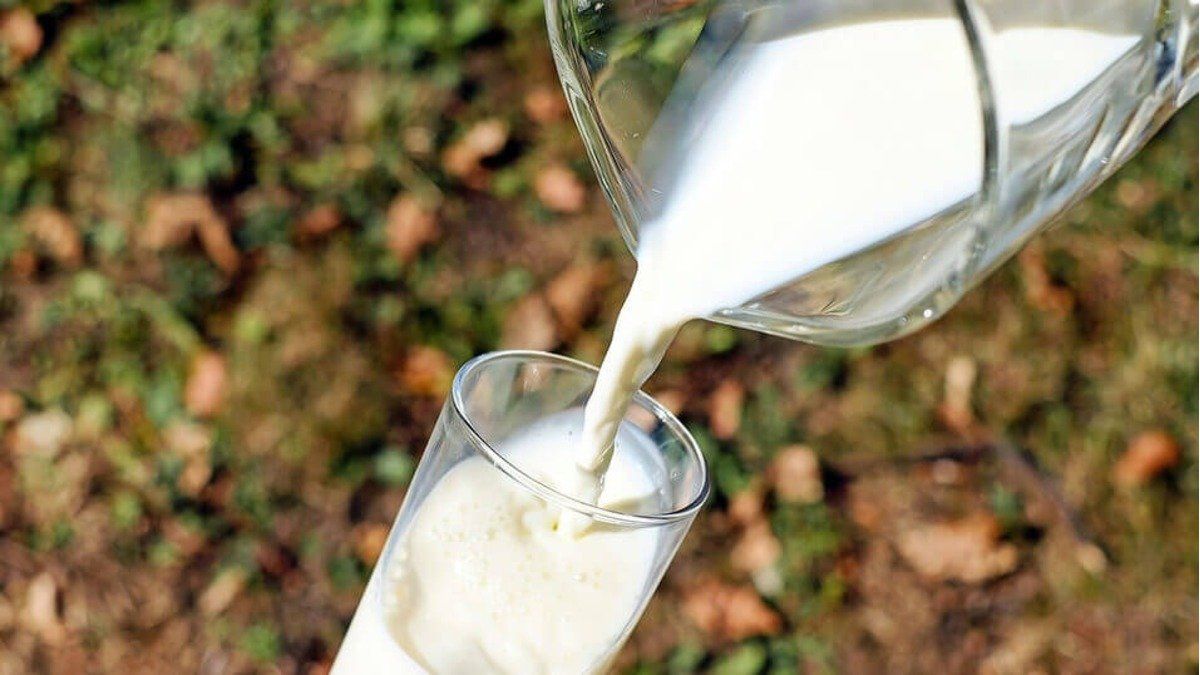 Industria lechera: La actividad está pasando un momento muy complicado