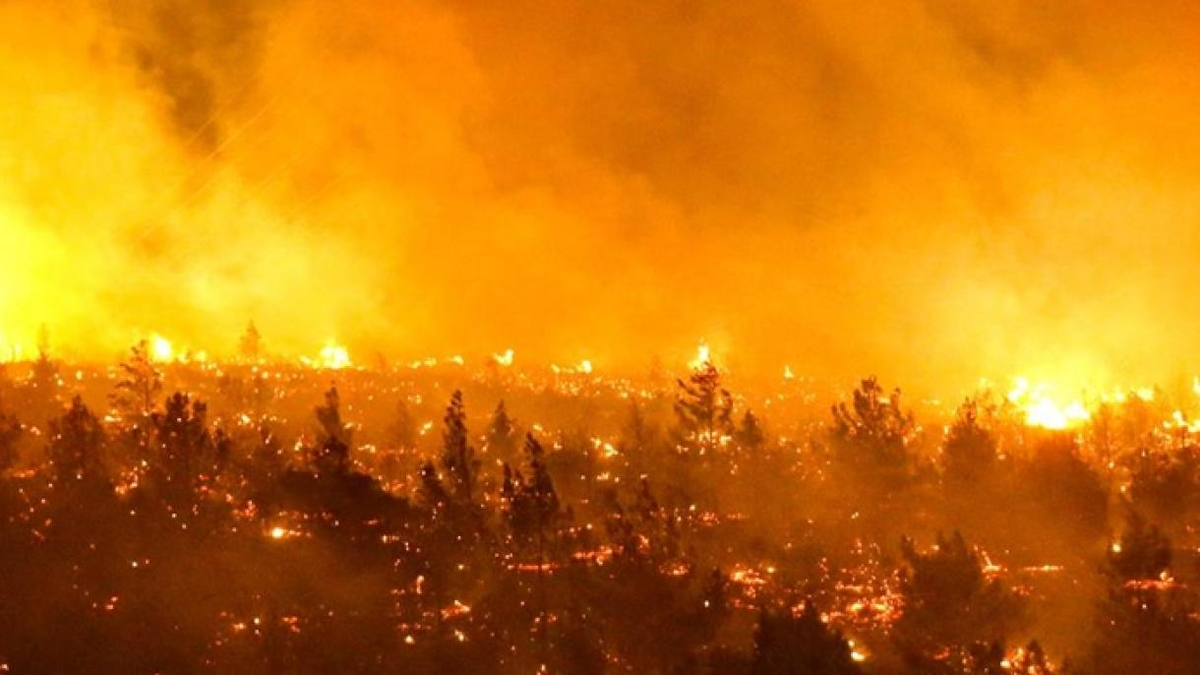 Chile: sube a 24 los muertos a causa de incendios forestales