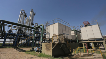 La producción de alcohol en Tucumán se incrementó