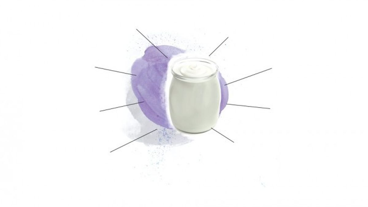 ¿Por qué comer un yogur todos los días?