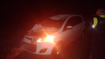 Automóvil chocó con un equino en Bella Vista