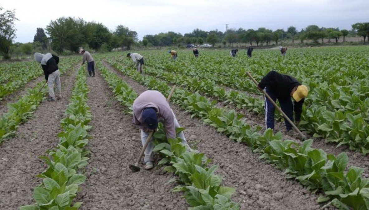 Trabajadores rurales: prestación por desempleo sube a $21.000