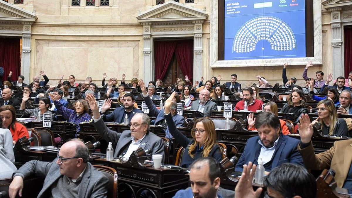 Diputados convirtieron en ley al proyecto de Consenso Fiscal