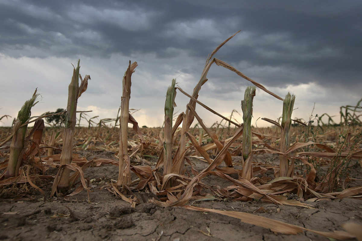 Sequía: estiman que en 2023 se perderán u$s19.000 millones