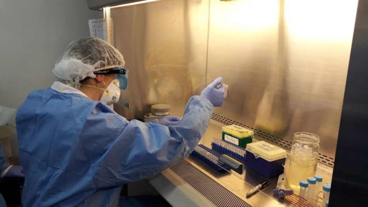 Insumos para testeos: escasez en los laboratorios privados